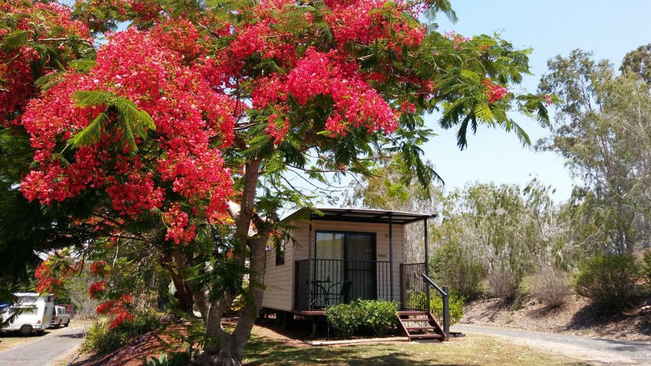 Отель Mt Larcom Tourist Park Mount Larcom Экстерьер фото